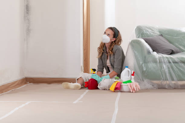 Reliable Mold Cleanup contractor in Mount Union, PA by WQB Mold Removal